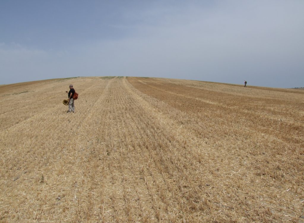 prospeccion-arqueologica